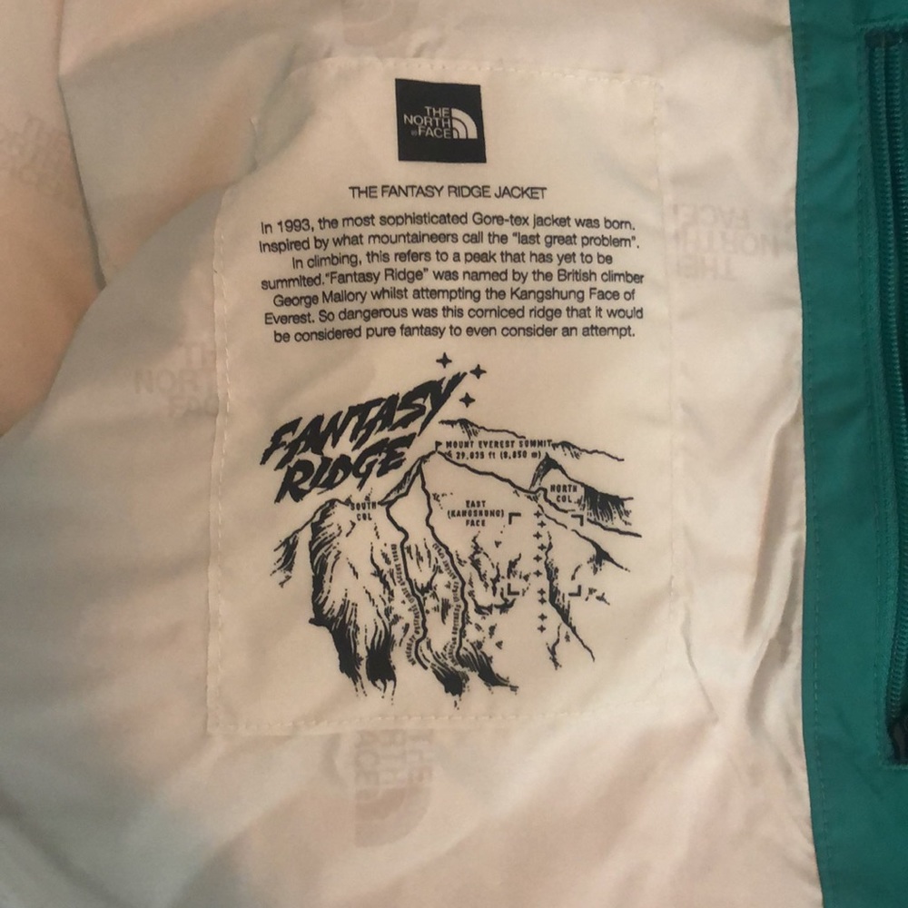 The north face fantasy ridge GTX Parka - Picture 7 of 11
